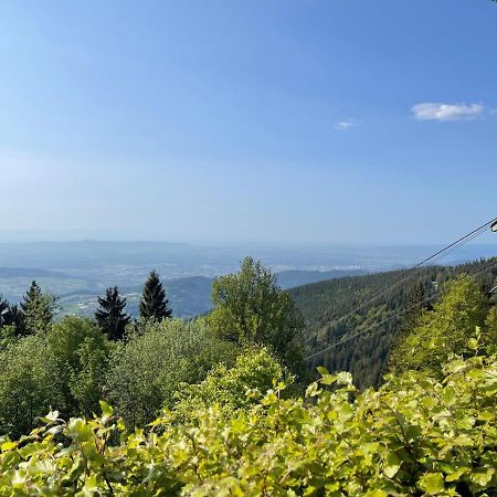 Neue Ferienwohnung Mit Whirlpool Und Sauna In Der Residenz Grafenmatt Inklusive Hochschwarzwaldcard Feldberg  Extérieur photo