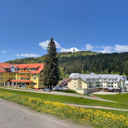 Neue Ferienwohnung Mit Whirlpool Und Sauna In Der Residenz Grafenmatt Inklusive Hochschwarzwaldcard Feldberg  Extérieur photo