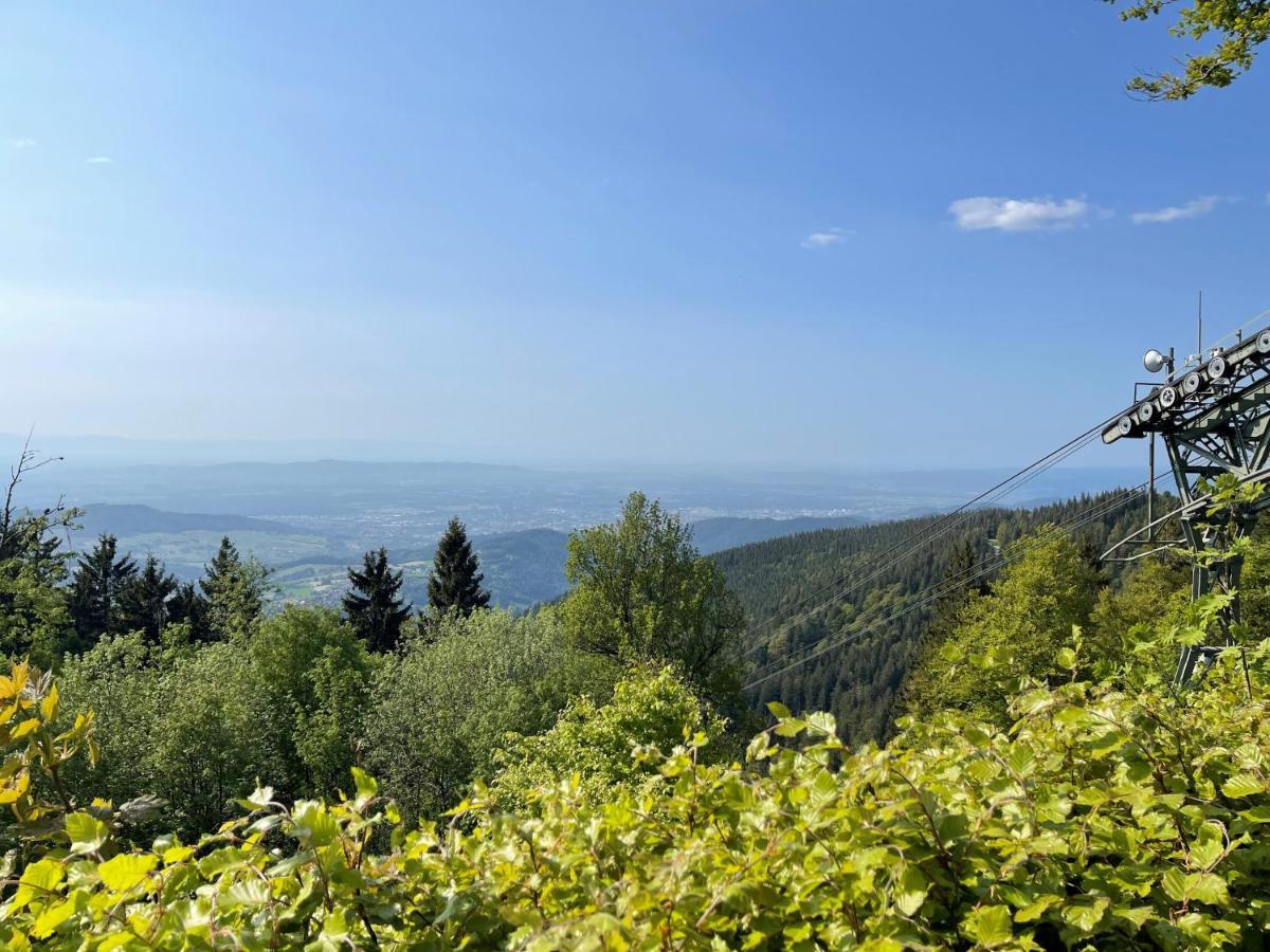 Neue Ferienwohnung Mit Whirlpool Und Sauna In Der Residenz Grafenmatt Inklusive Hochschwarzwaldcard Feldberg  Extérieur photo