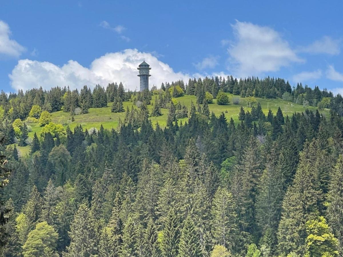 Neue Ferienwohnung Mit Whirlpool Und Sauna In Der Residenz Grafenmatt Inklusive Hochschwarzwaldcard Feldberg  Extérieur photo